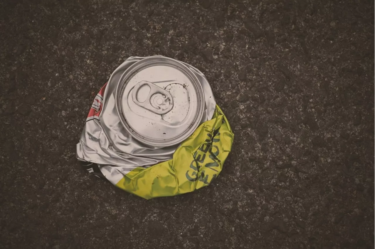 Circular economy for the poor: How waste can build wealth — Ahmad Ibrahim