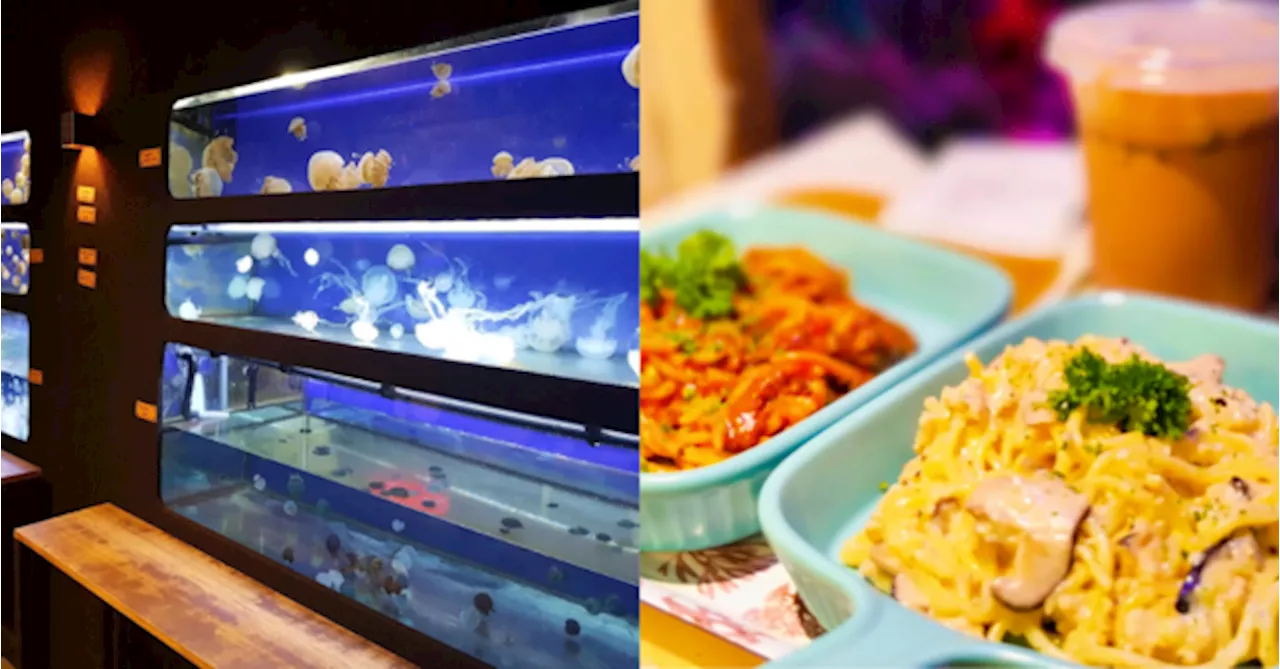Here's A Hidden Spot In Shah Alam Where You Can Have A Cute Aquarium Café Date
