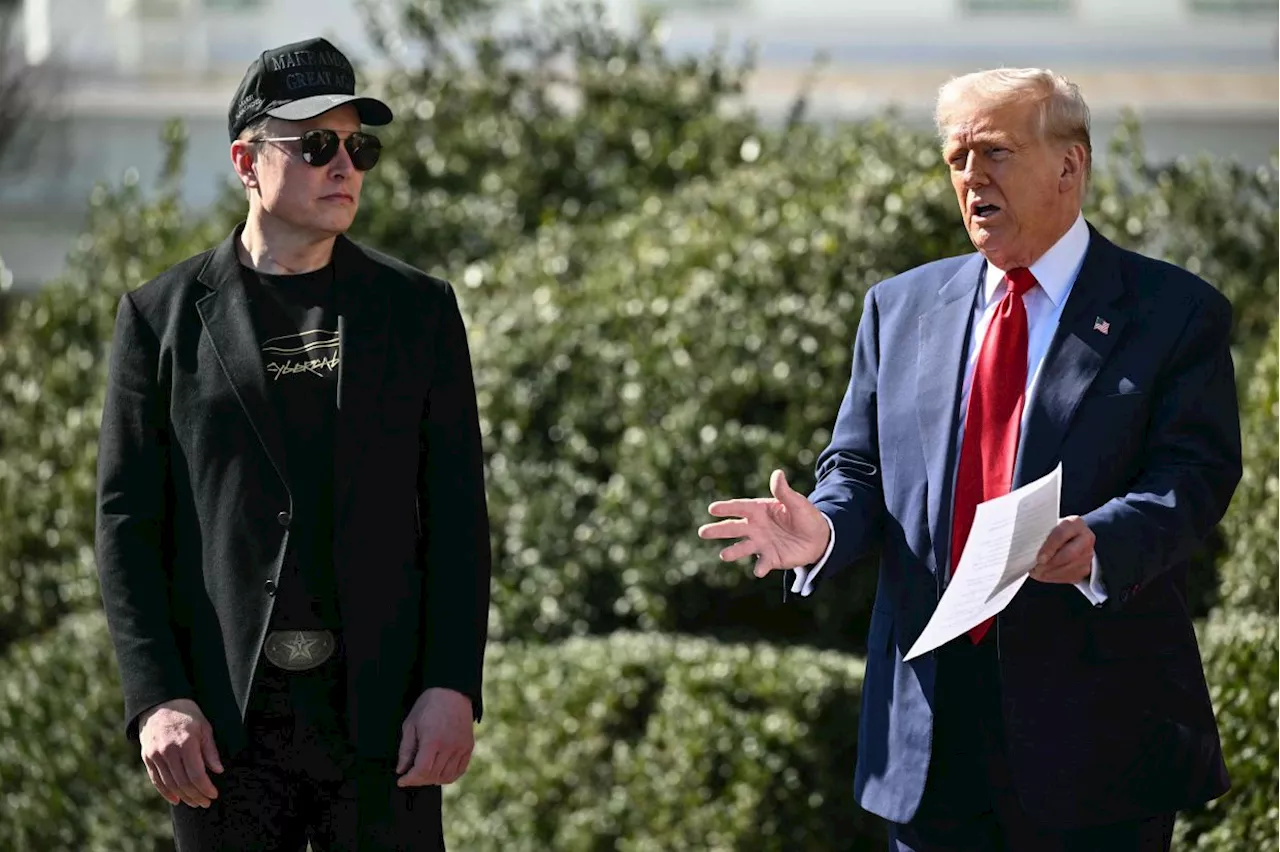 Elon Musk's rocket-fueled ride with Trump flames out