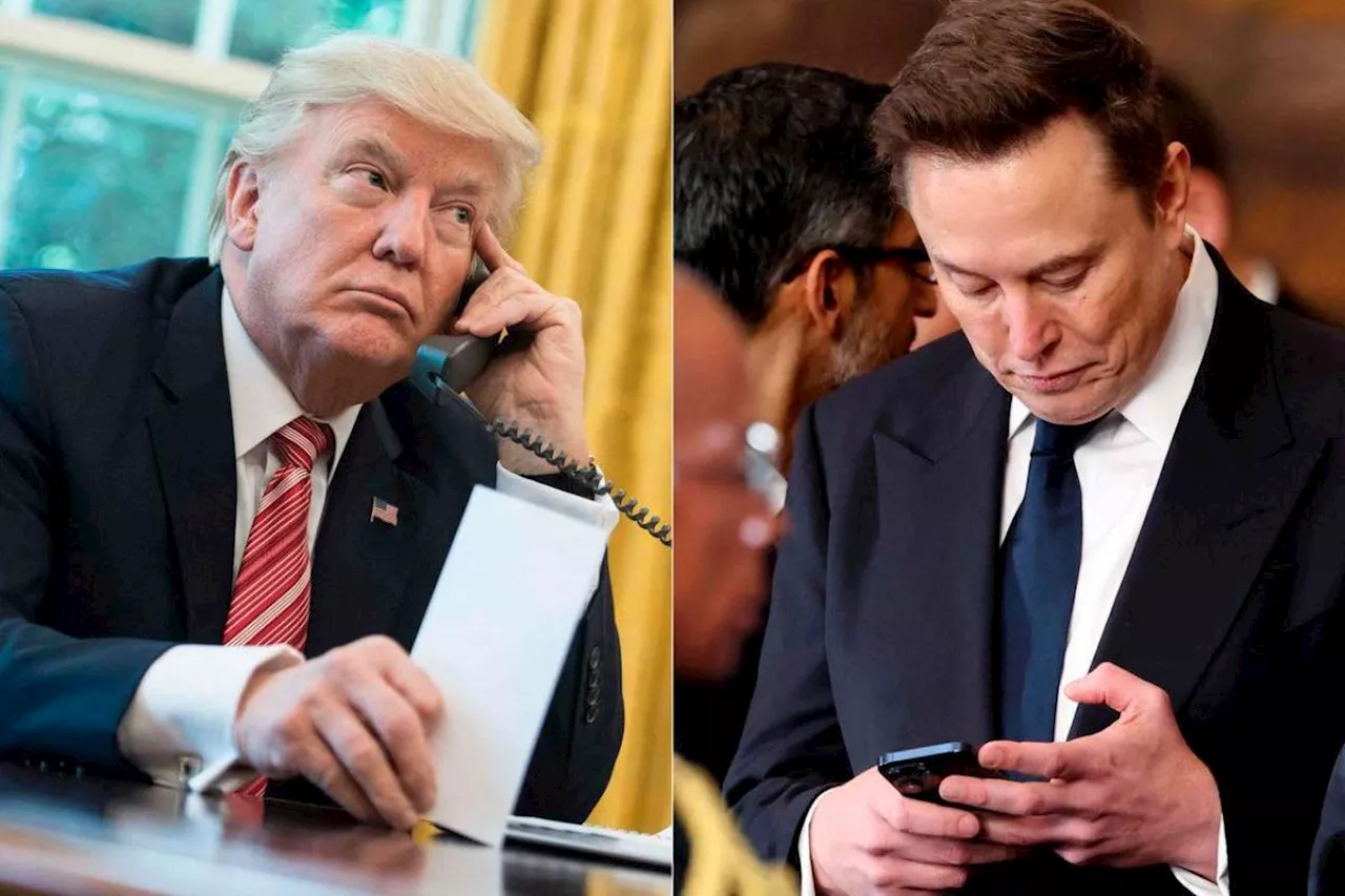 From allies to enemies: the cost of a Musk-Trump split