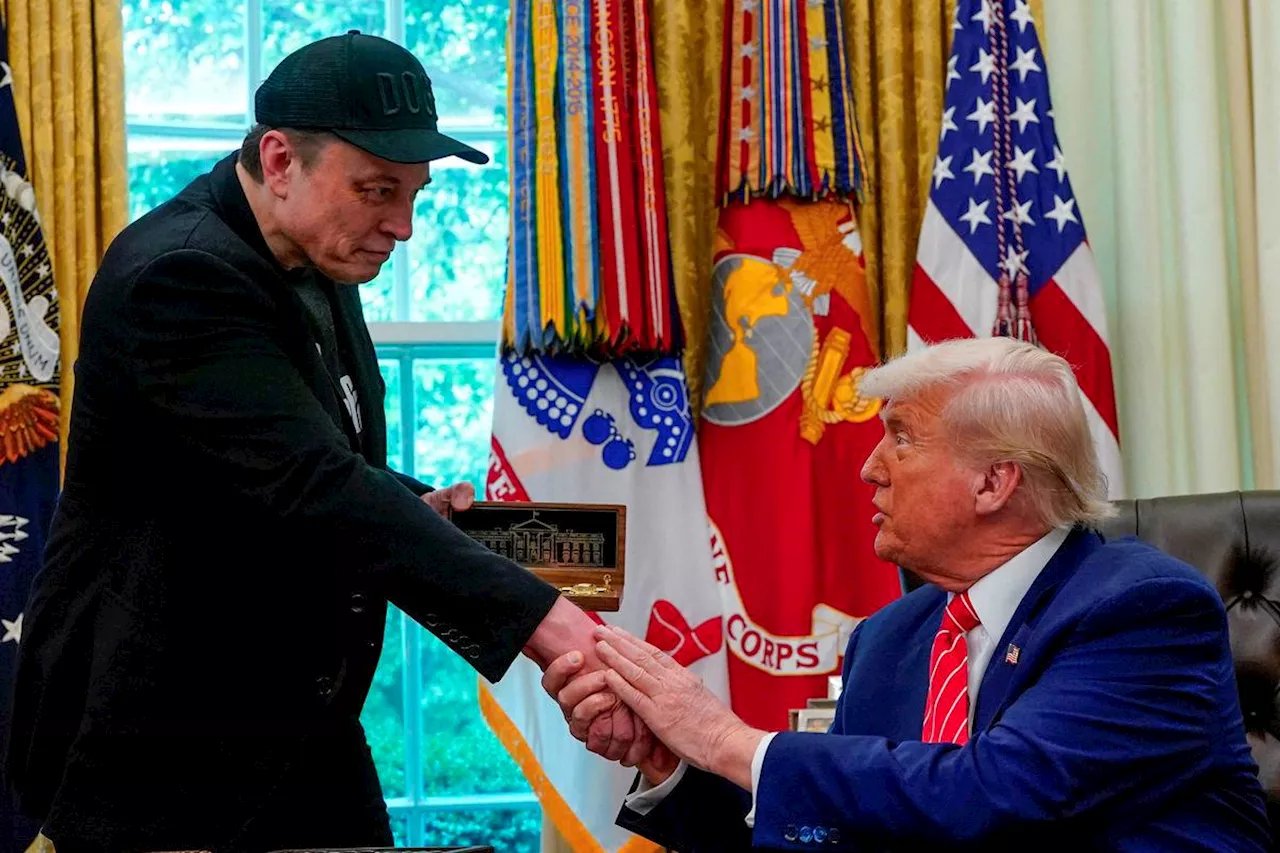 From bros to foes: how the unlikely Trump-Musk relationship imploded