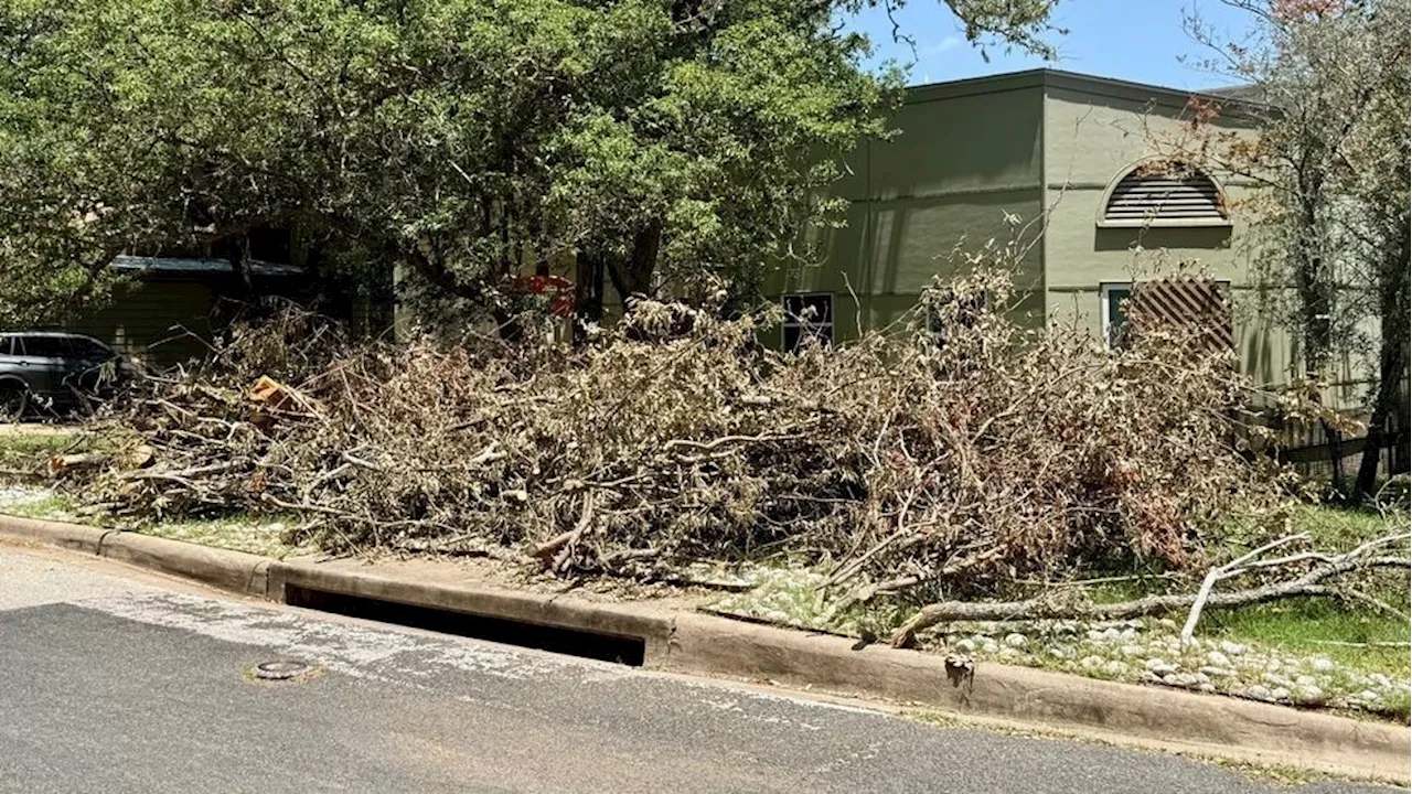950 tons of storm debris already collected after last week's 'microburst'