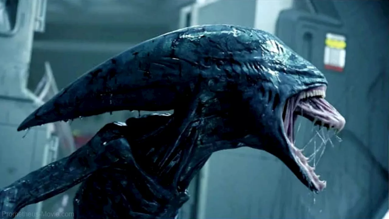 Prometheus: Unraveling the Mysteries of Creation and Humanity's Cosmic Place