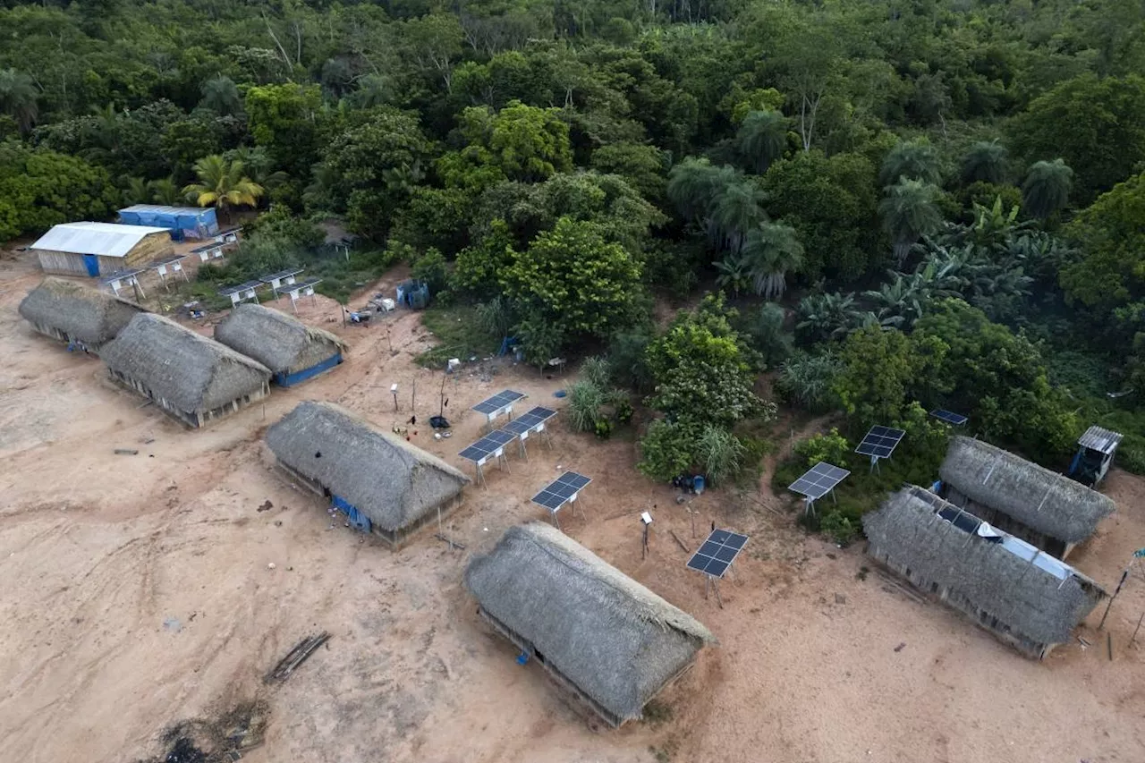Brazil fires drive acceleration in Amazon deforestation