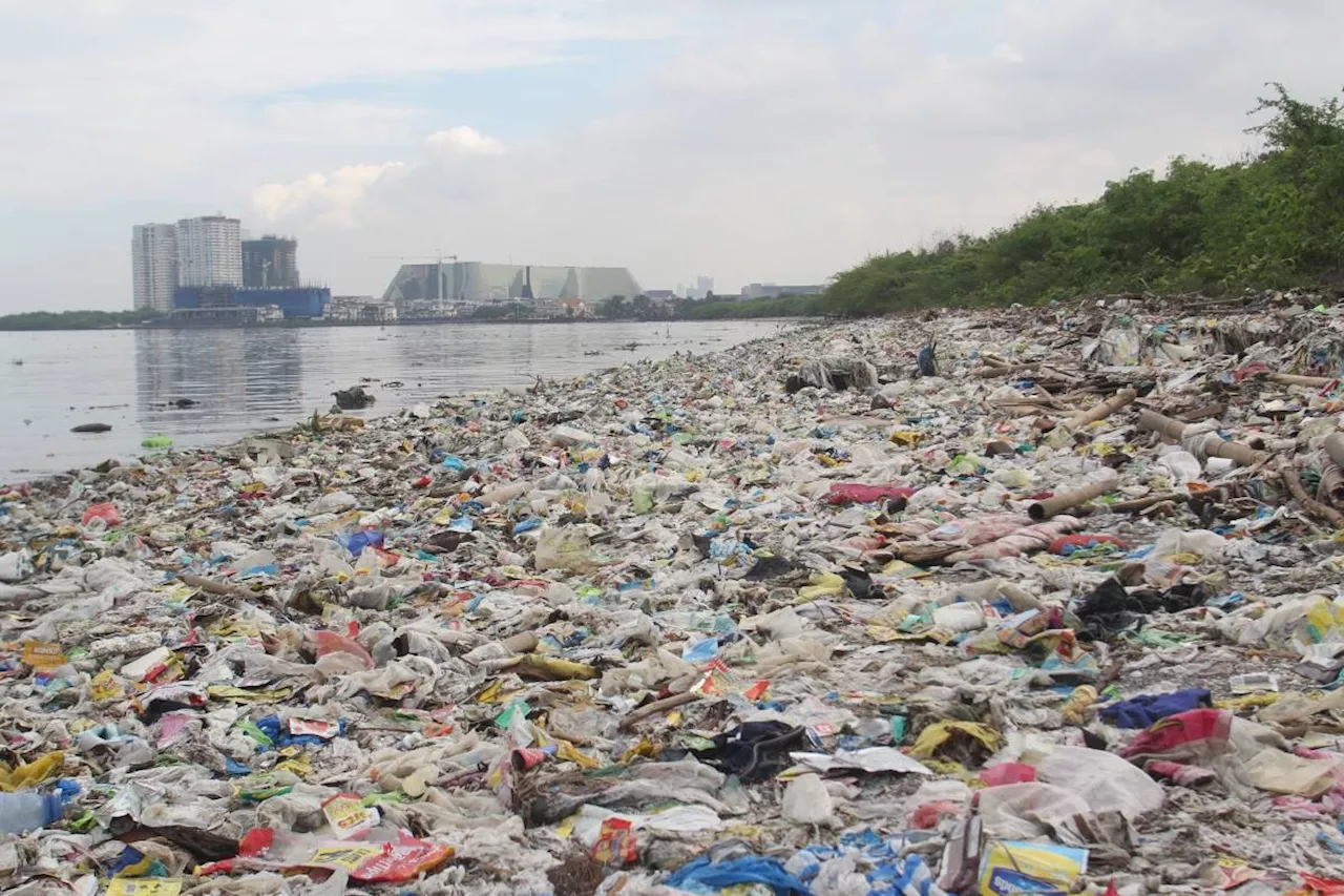 DENR Bicol wants use of plastic minimized