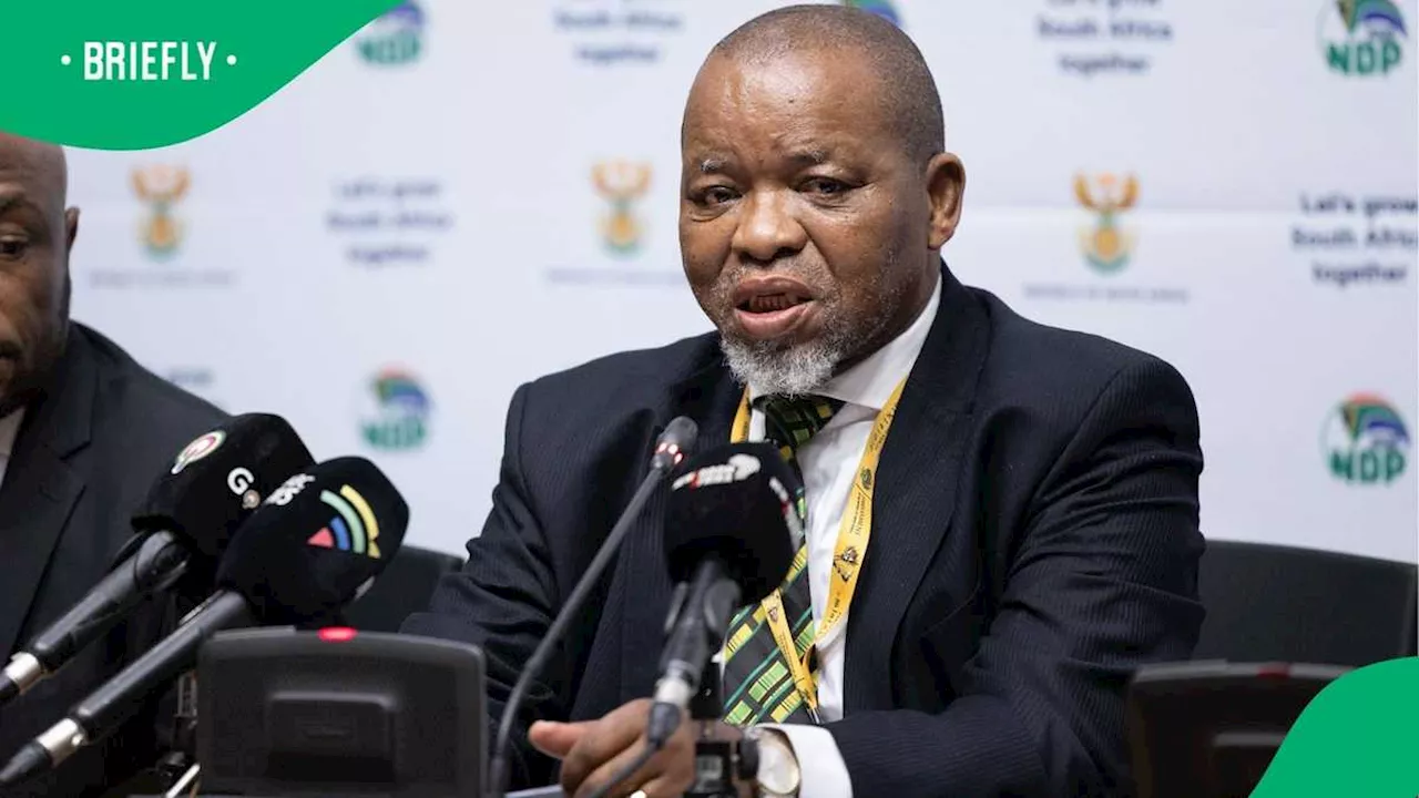 Gwede Mantashe Lays Charges Against Zakhele Zuma Over Theft Claims, Says He’s Linked With MK Party