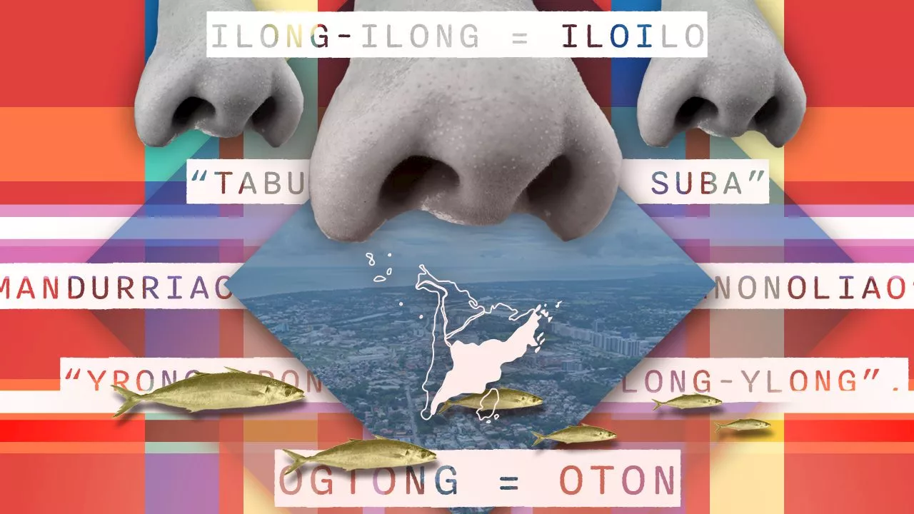 [Ilonggo Notes] Ilonggo place names as a window to the past