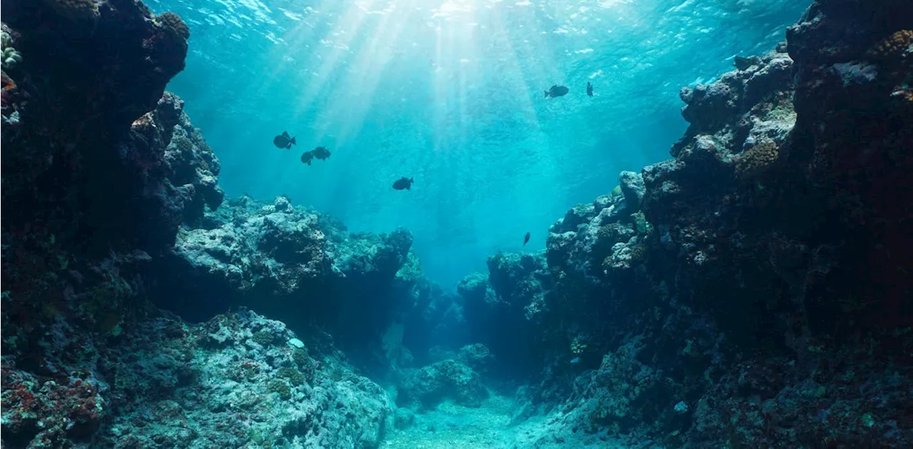 Ocean mud locks up much of the planet’s carbon – we’re digging deep to map these ancient stores