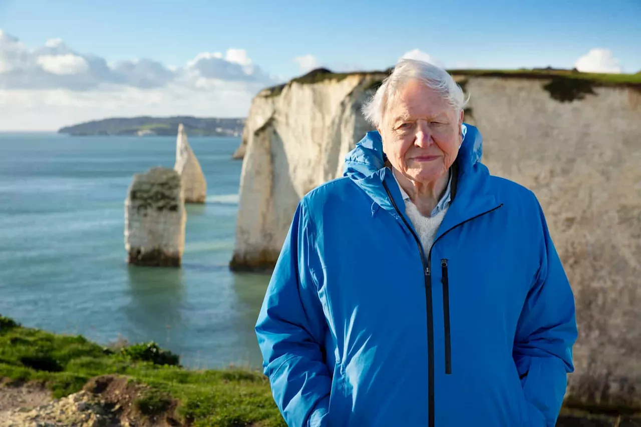 Attenborough’s message about the oceans