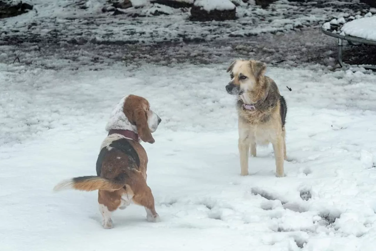 WEATHER: Disruptive SNOWFALL expected in THESE parts of SA