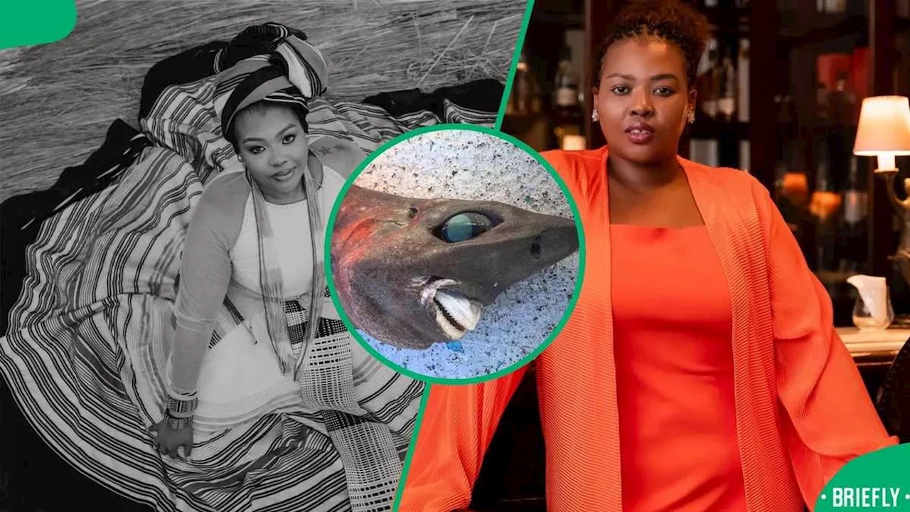 Anele Mdoda Reacts to Strange-Looking Deep-Sea Shark Photo: “The Deep Ocean Is Wilder Than Space”