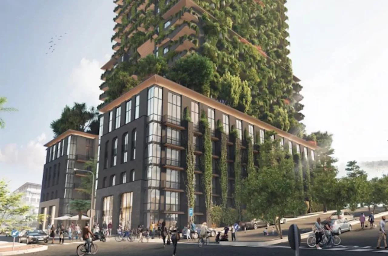 The Fynbos project scrapped, with new developer set to redesign the vision