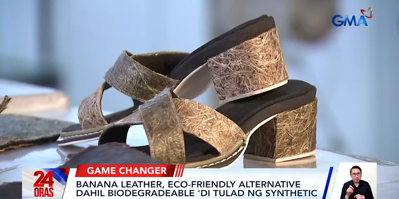 DLS-CSB, DLSU designers develop banana leather as eco-friendly alternative to synthetic leather