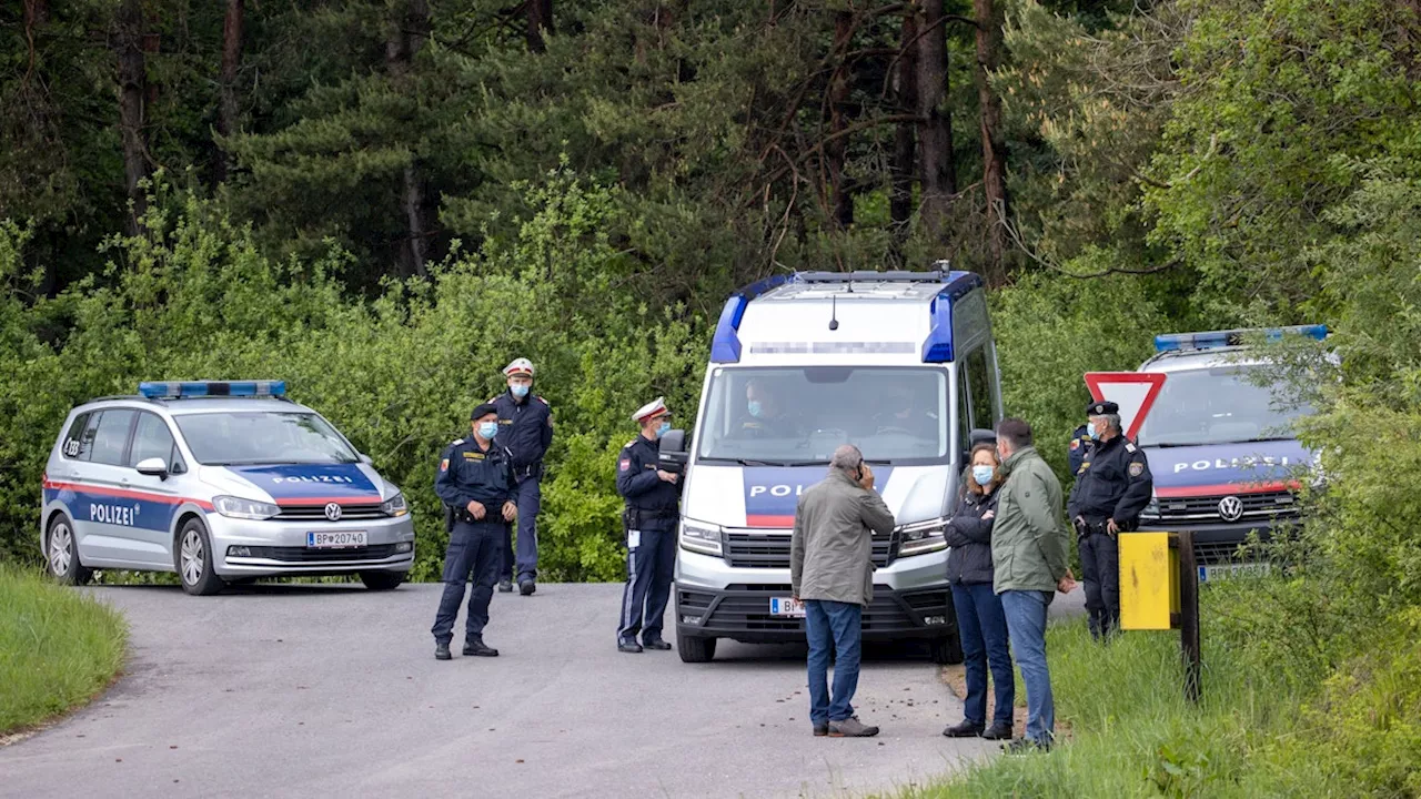 Einsatz im Bezirk Neunkirchen - Wiener verursacht Unfall und lässt Verletzte im Stich