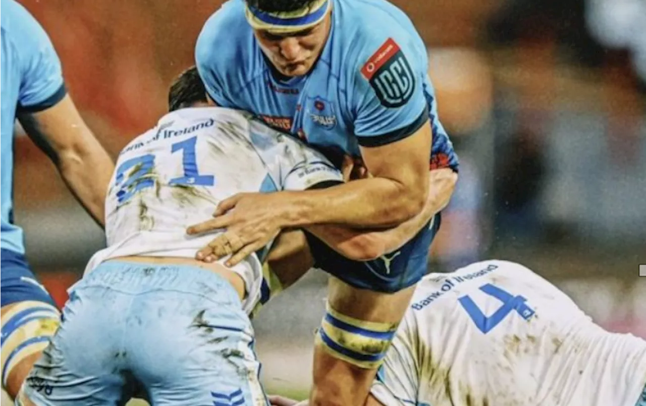 Past results between Bulls and Leinster count for nothing: White - SABC News