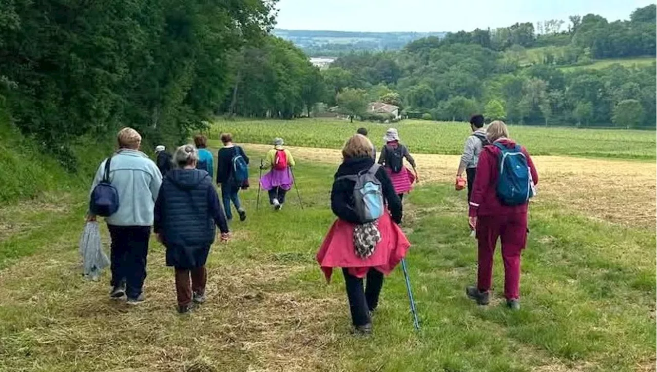 Sainte-Terre : une journée d’activités pour lutter contre la maladie d’Alzheimer