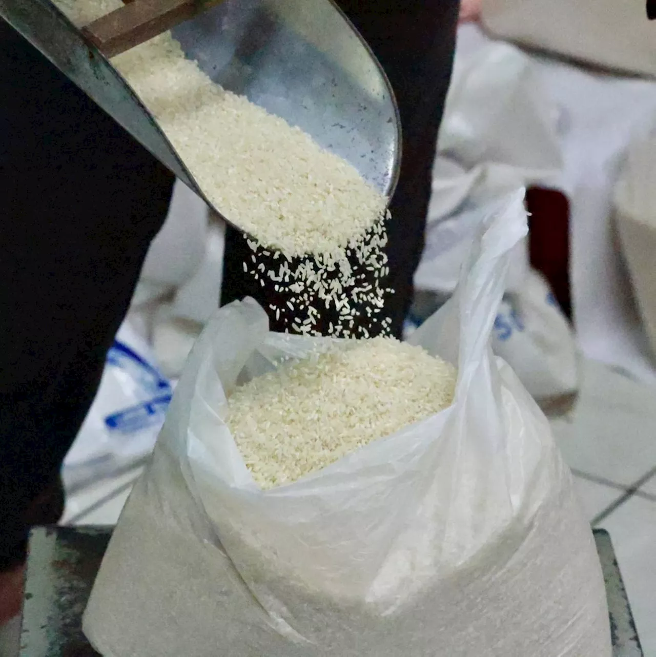 Negros Occidental to start selling P20 rice