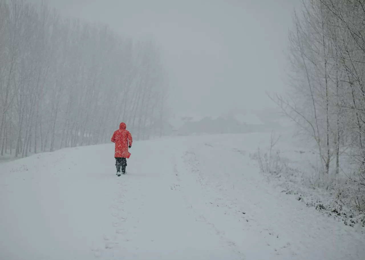 Twelve weather warnings issued for SA: Snow, rain, winds and waves expected