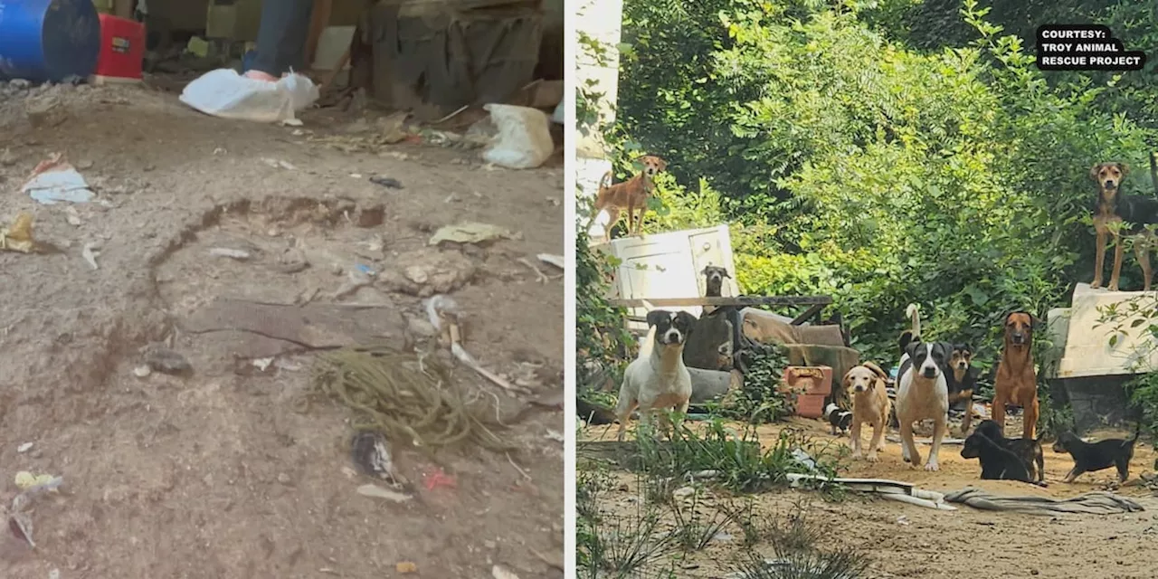 ‘There is over a foot of feces’: Estimated 100 animals found in unacceptable living conditions