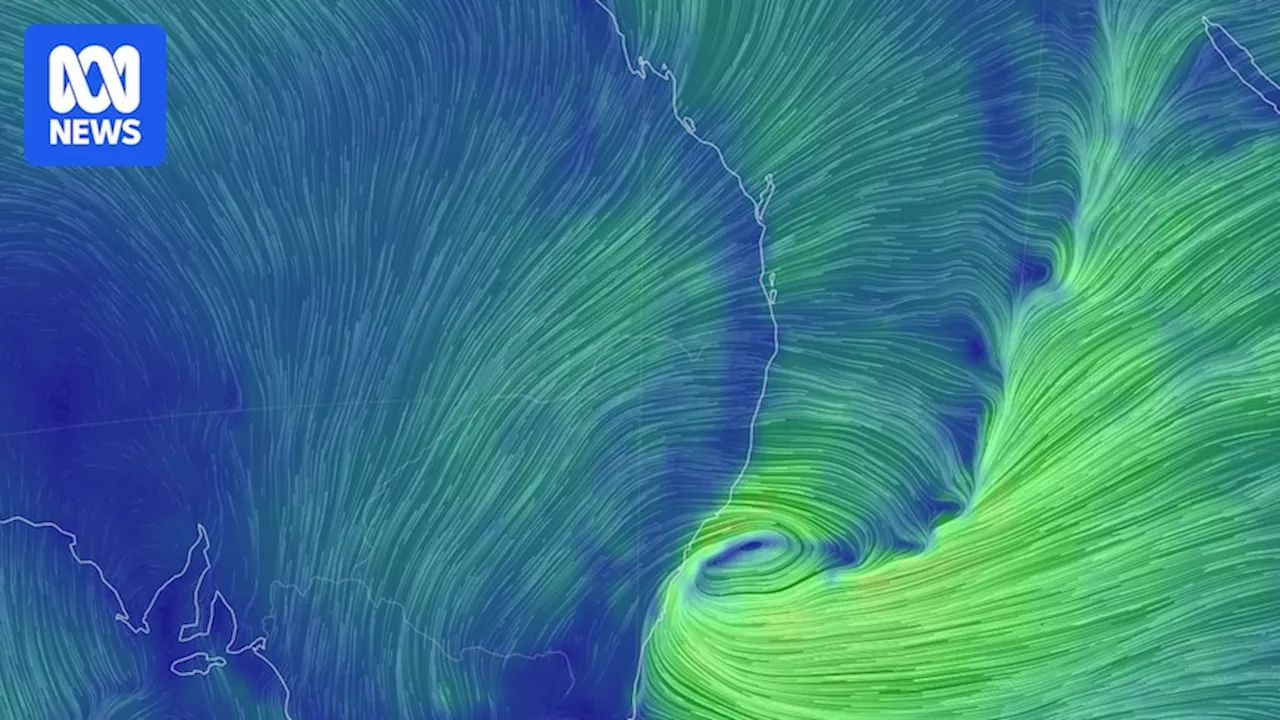 Fallout of 'bomb cyclone' sees strong winds batter parts of Queensland