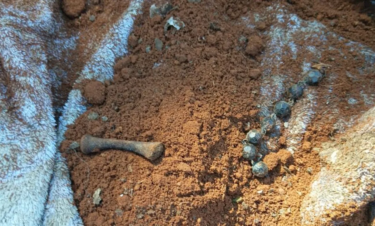 Burial halted after discovery of bones in blanket at Johannesburg cemetery