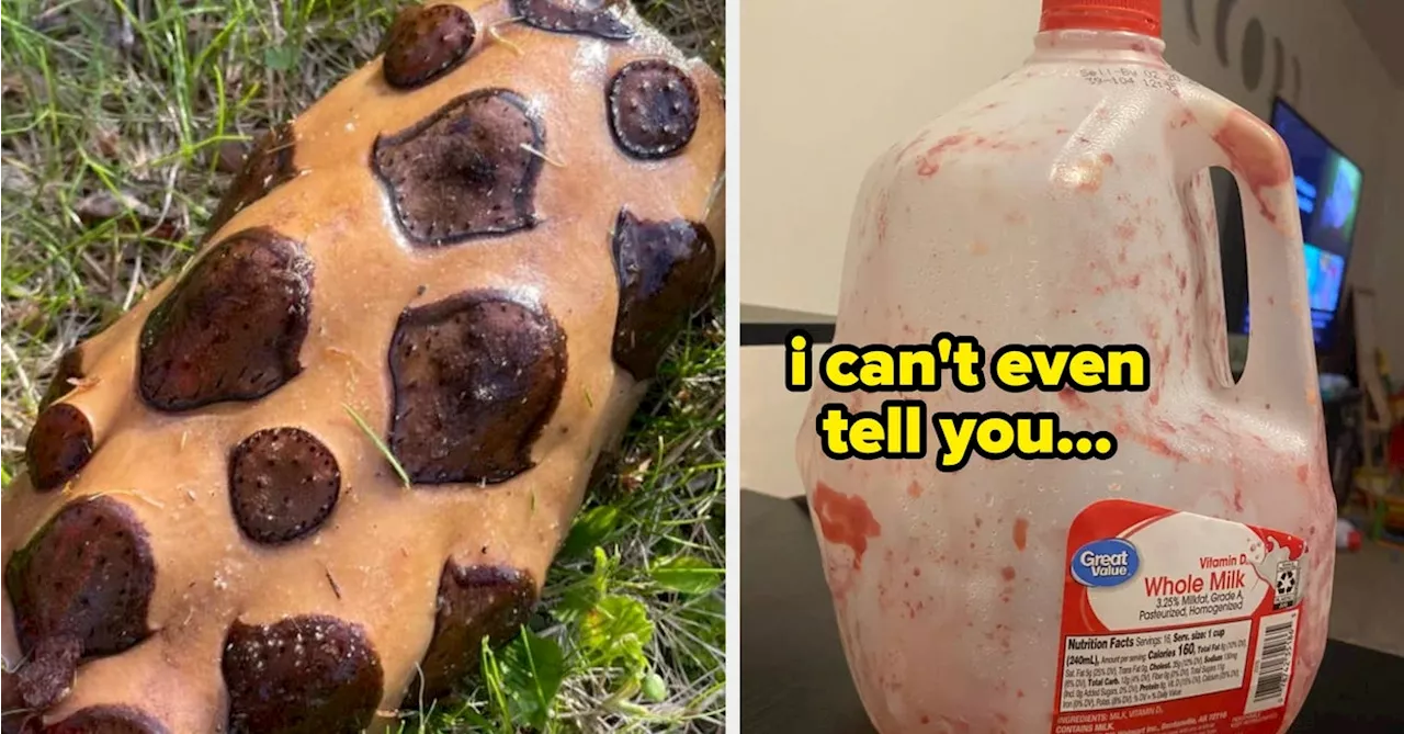 40 Confusing Random Pictures