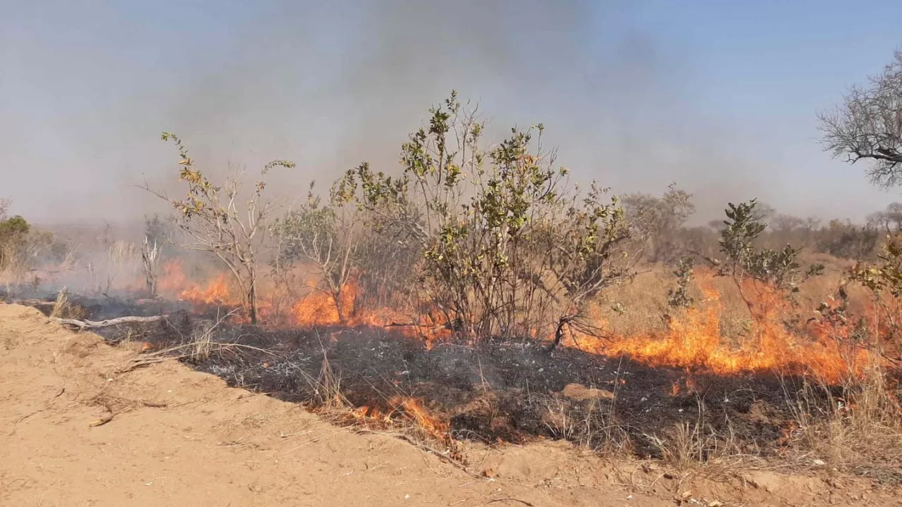 Kruger National Park initiates controlled burns for fire season
