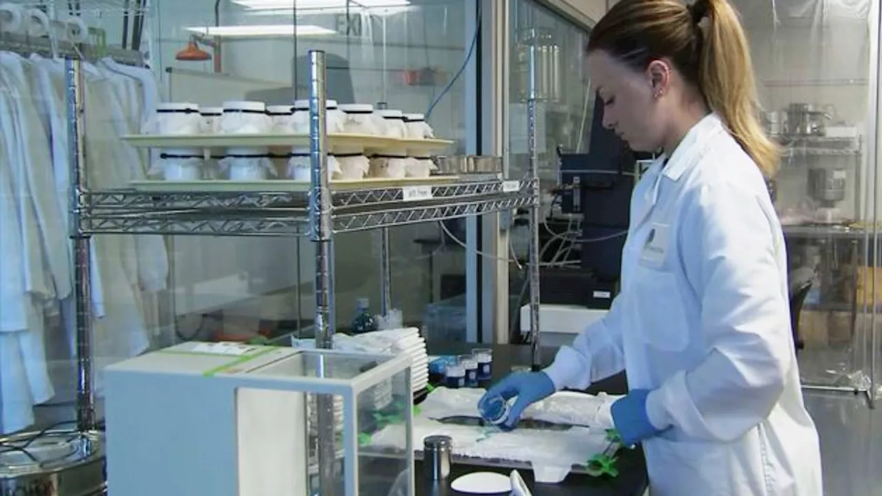 How a beer-making process is used to make cleaner disposable diapers