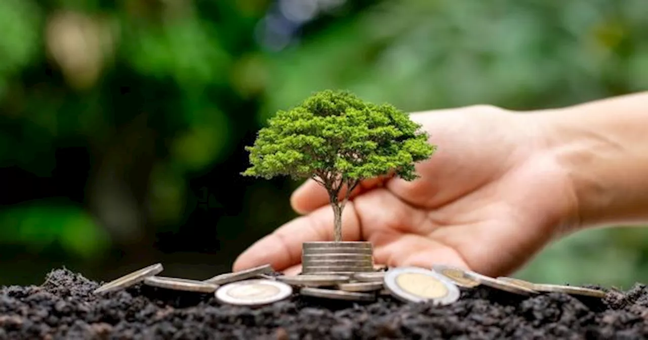Una por una, cuál es la agenda ambiental de las principales empresas del país