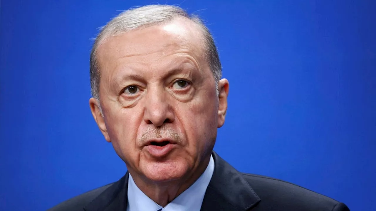 Erdogan fördömer satirteckning: ”Respektlöst mot vår profet”