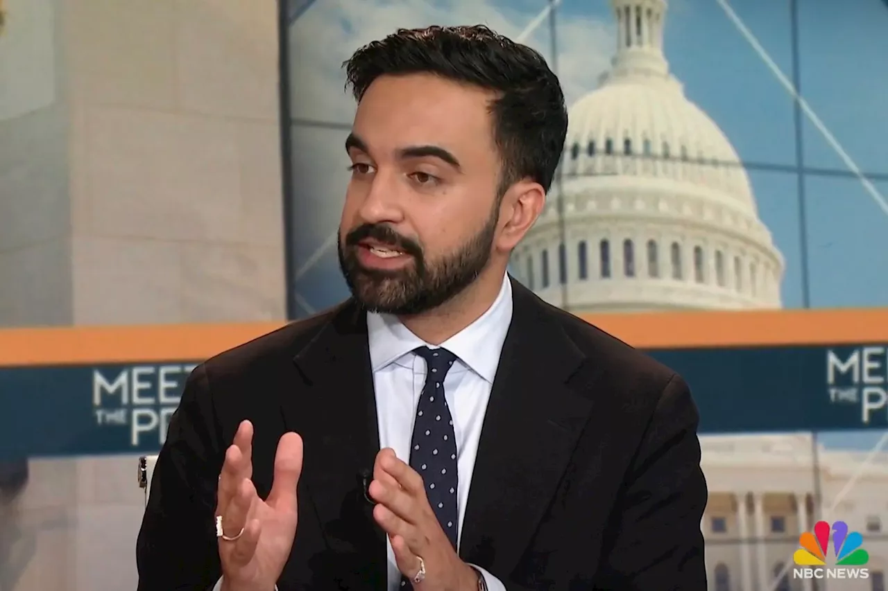 Zohran Mamdani's 'no billionaires' dream fits HIS goal — to make us all live in equal... misery