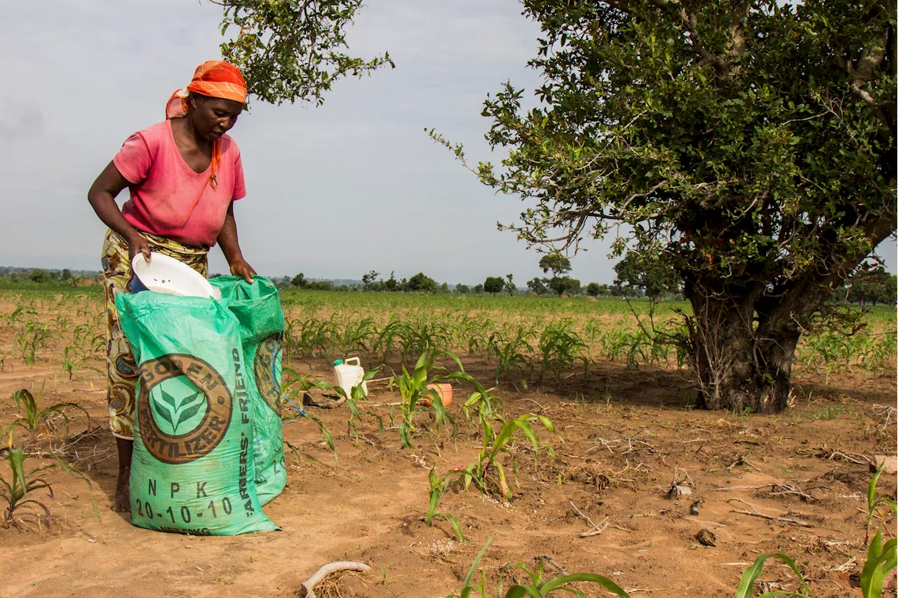 What Nigeria, Cameroon must do to stop ISWAP’s expansion in Lake Chad basin