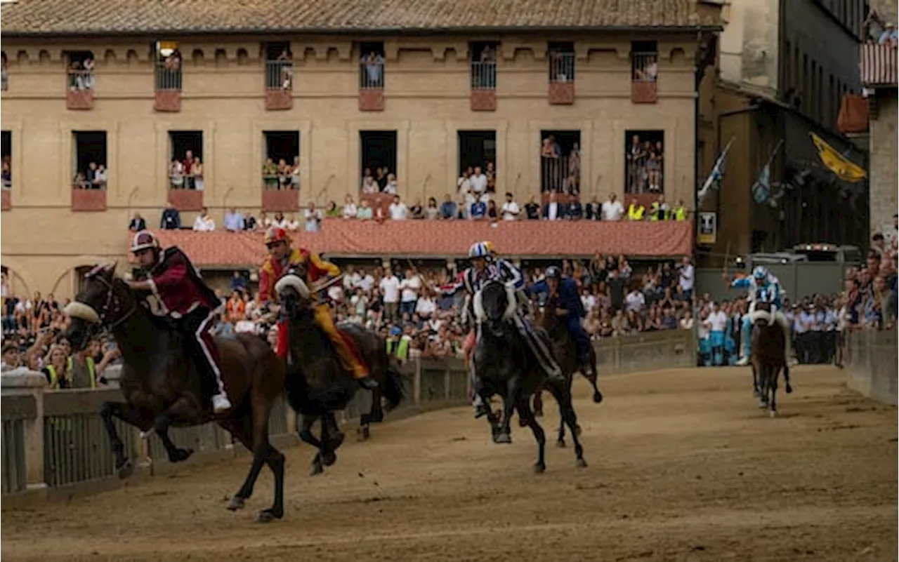 Palio di Siena 2025, le contrade partecipanti: fantini e cavalli favoriti