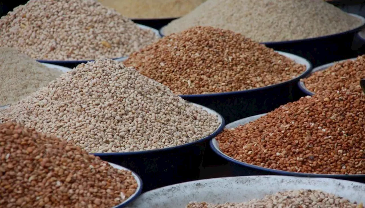 'From N320k to N130k' -- farmers, traders say high yield has reduced prices of beans