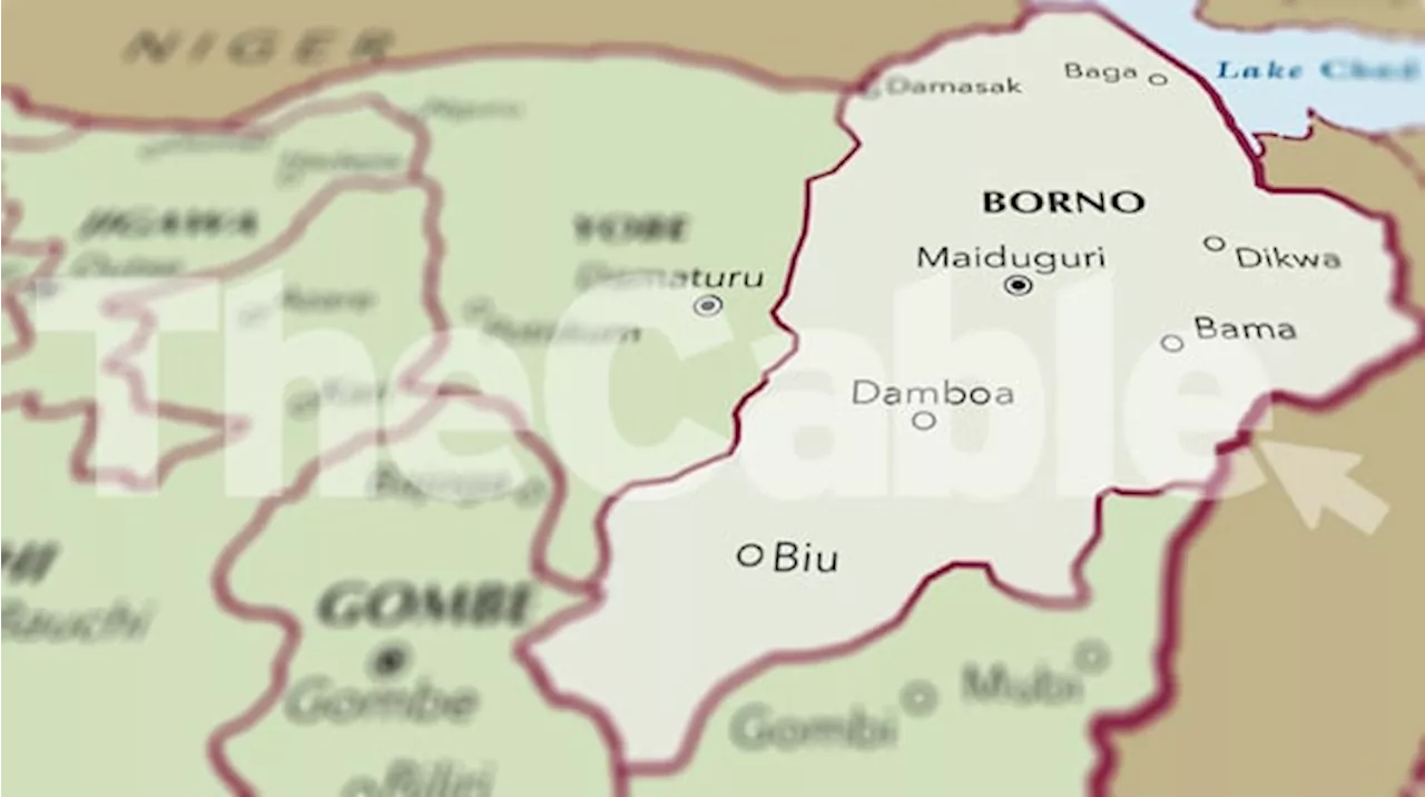 One injured, bridge destroyed as IED ‘planted by ISWAP terrorists’ explodes in Borno