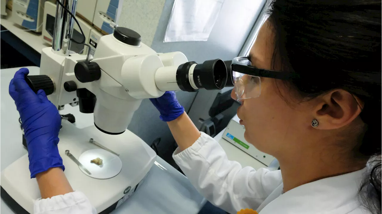 Tumore del seno metastatico, Aifa approva nuova terapia mirata