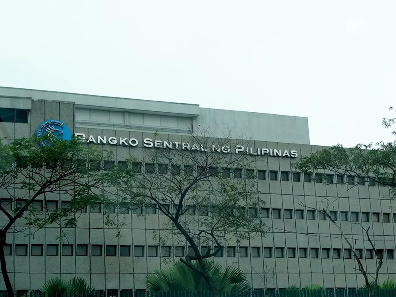 FDI net inflows up to $610M in April 2025 —BSP