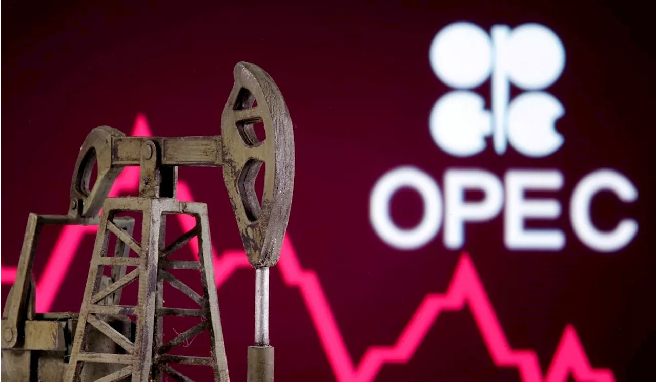 OPEC says no peak to oil demand before 2050