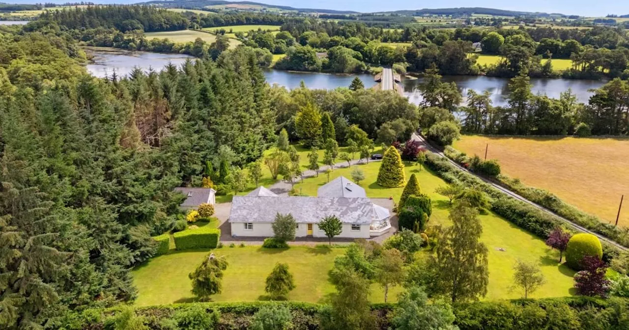 Five homes on view this week in Dublin and Wicklow from €575,000