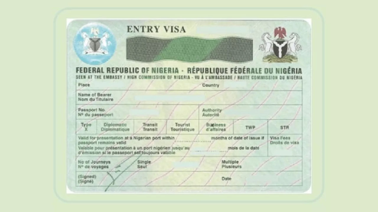 FAKE NEWS ALERT: Tinubu didn't stop five-year visa for US citizens, says presidency