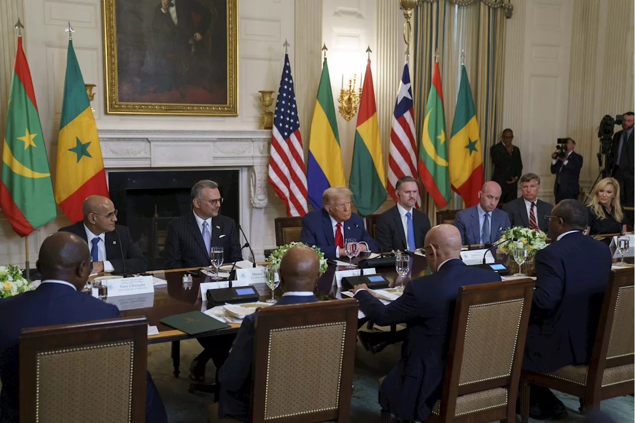 Trump’s humiliation is a wake-up call for African leaders