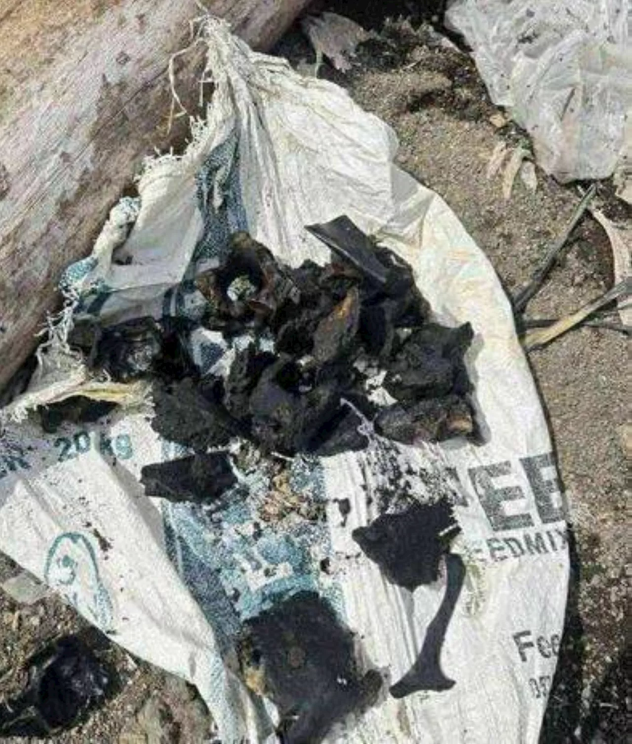 Burnt human remains found as search begins in Taal Lake