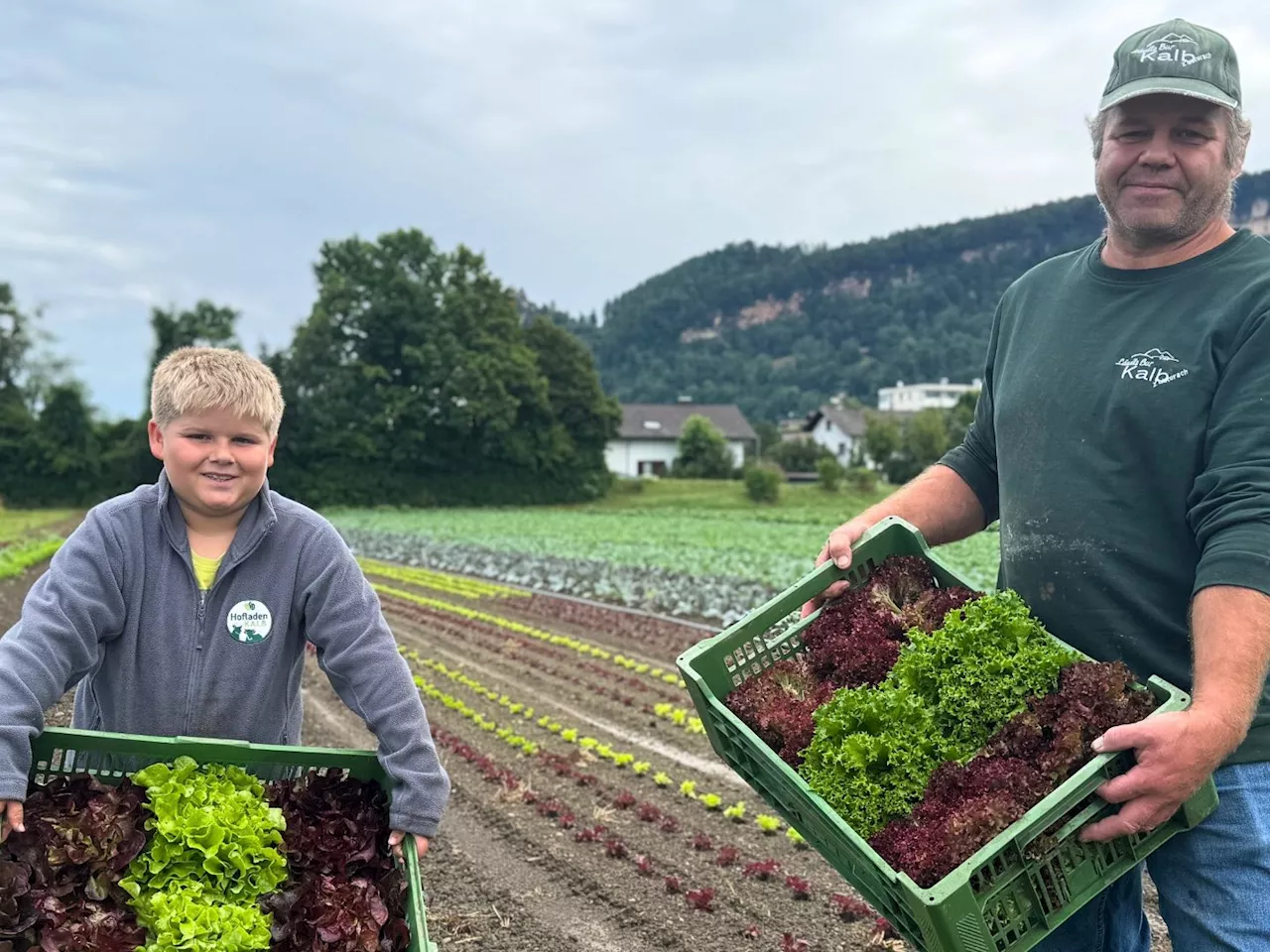 Sturm- und Starkregen: Landwirte kämpfen mit Folgen der Wetterextreme