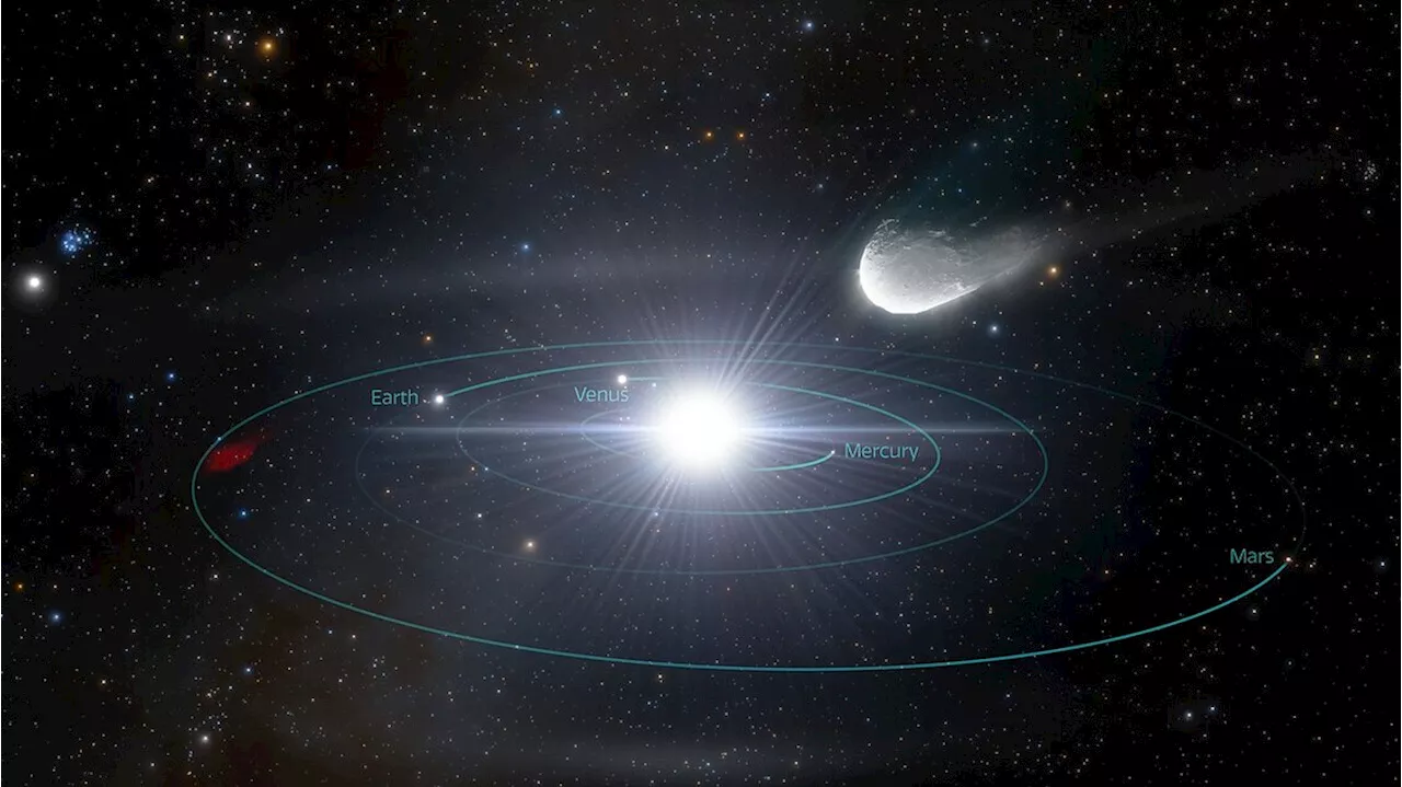Il nuovo intruso nel Sistema solare è una cometa VIDEO