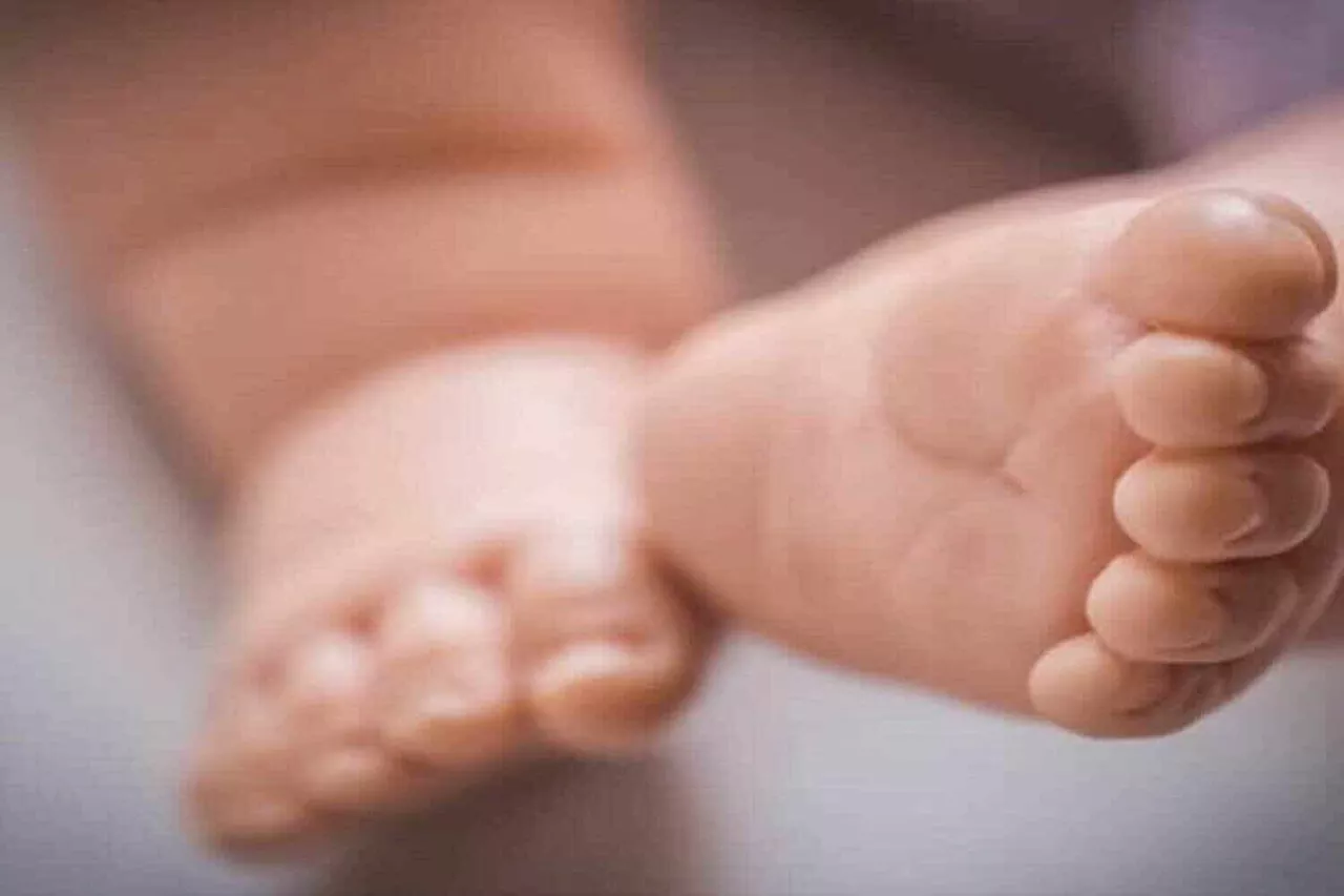 Baby rescued from pit latrine in KZN