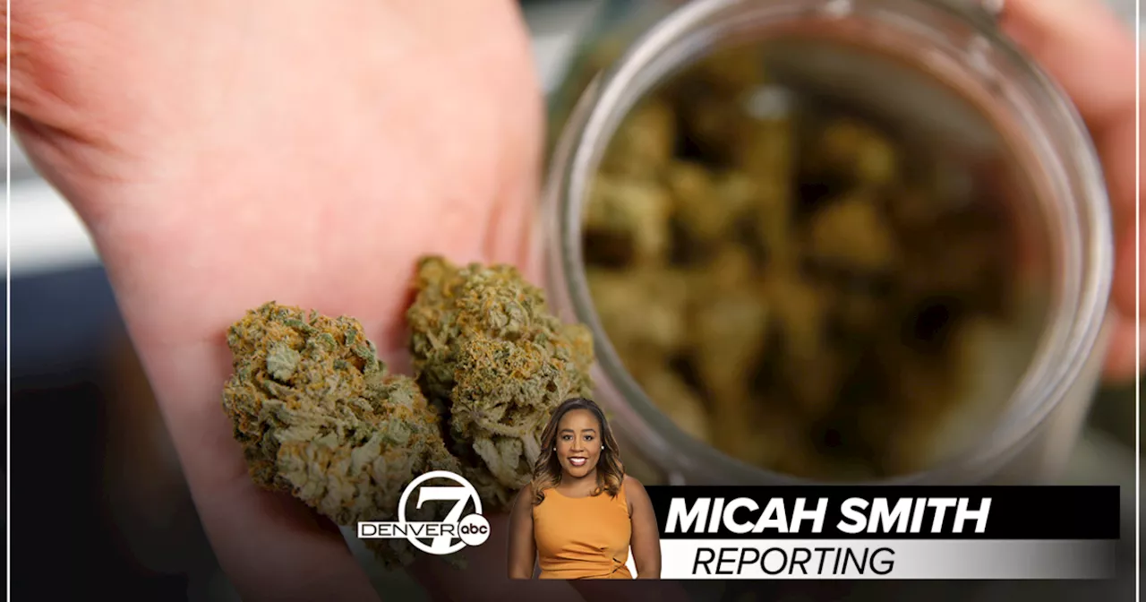 New CU Boulder study finds nearly half of cannabis flower products are inaccurately labeled