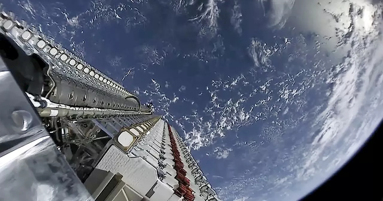 EFF says won't allow Starlink in SA, calls company a security threat