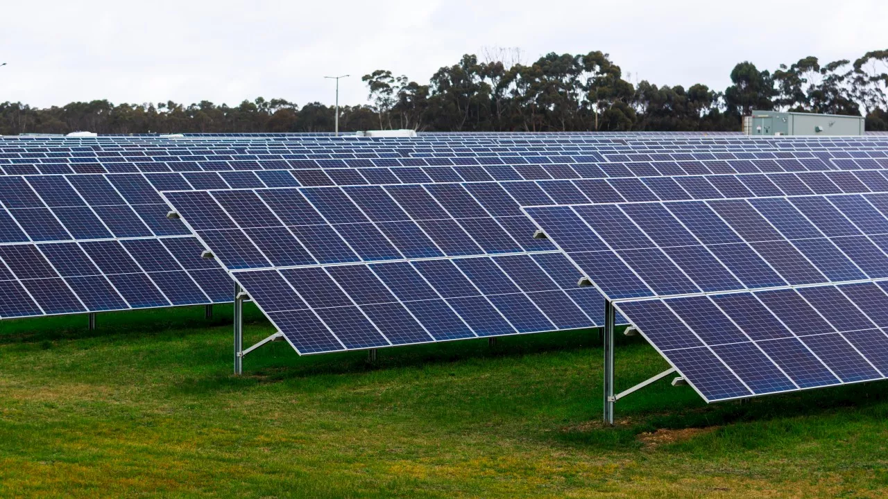 ‘They made a mess of it’: Tehan blames Labor’s ‘renewables only’ push for solar farm switch-off chaos