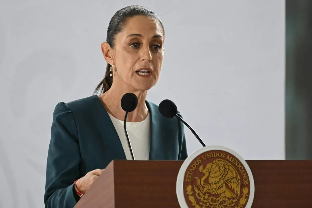Mexico says new US cattle import halt 'totally exaggerated'