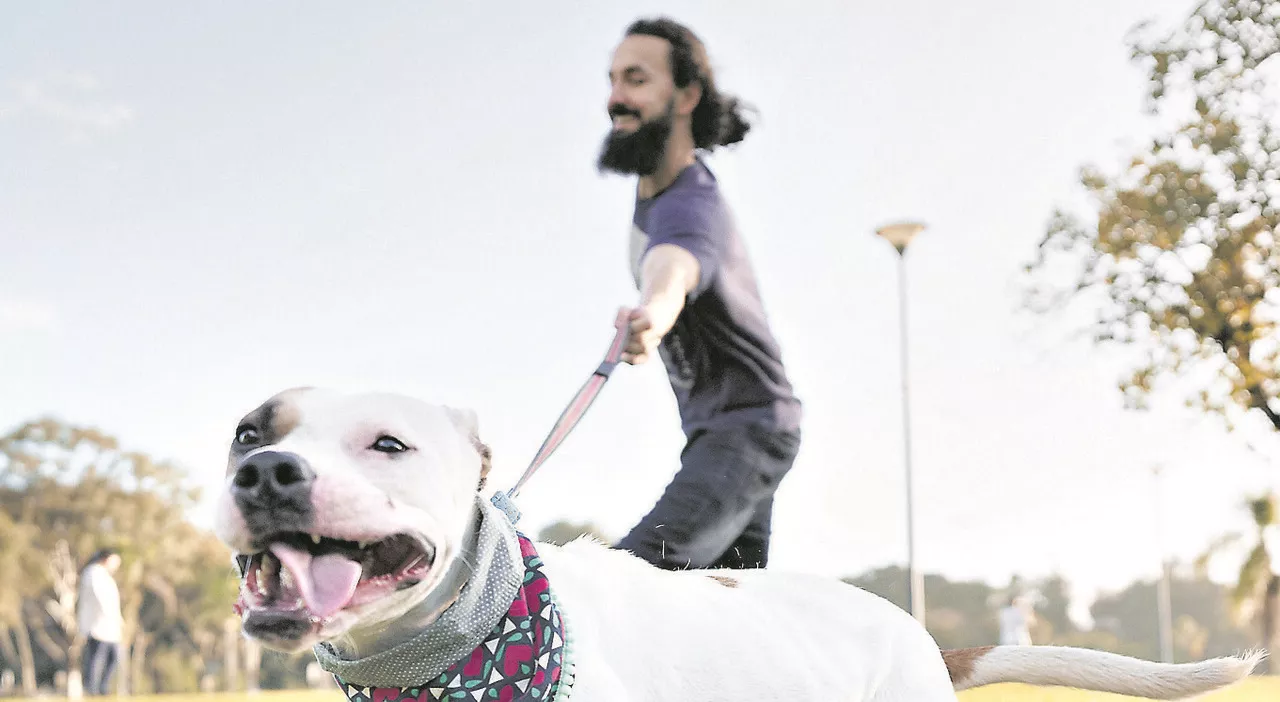Passeggiata con il cane: fa bene al cuore ma attenzione agli strattoni